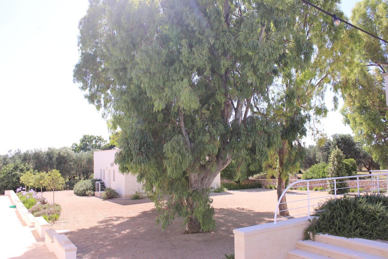 Terreamare Agriturismo Porto Cesareo Exterior photo